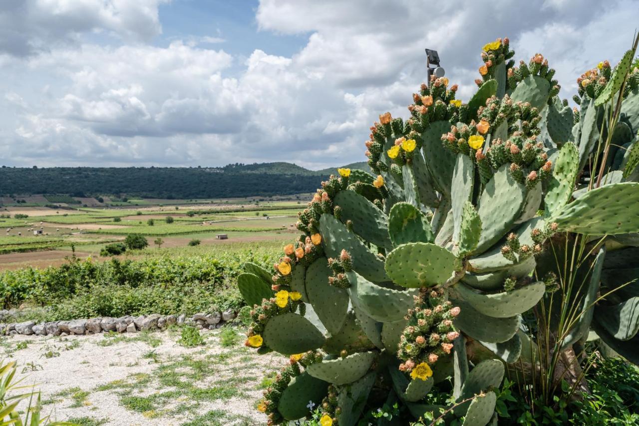 Dimora Rutica Bed & Breakfast Selva Di Fasano Exterior photo